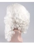 Santa Claus Wig and Beard Set HX-016